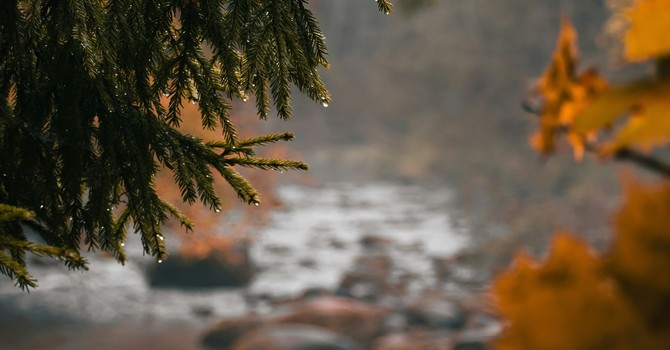 New Additions to Office